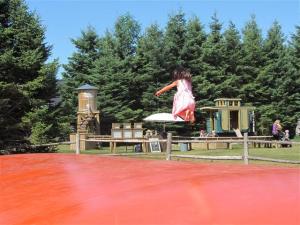 Jumping Pillows at Saunders Farm