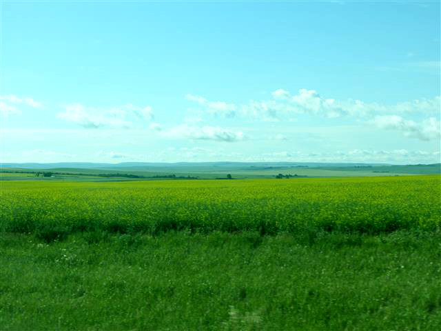 182_PrairieRoad