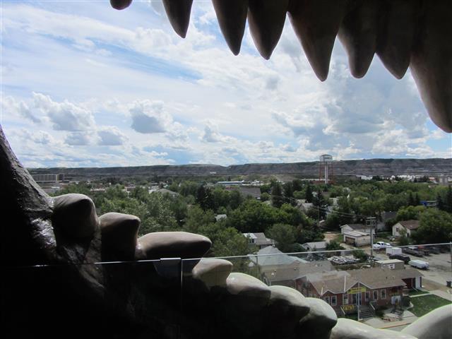 241_DinoTeethAndDrumheller