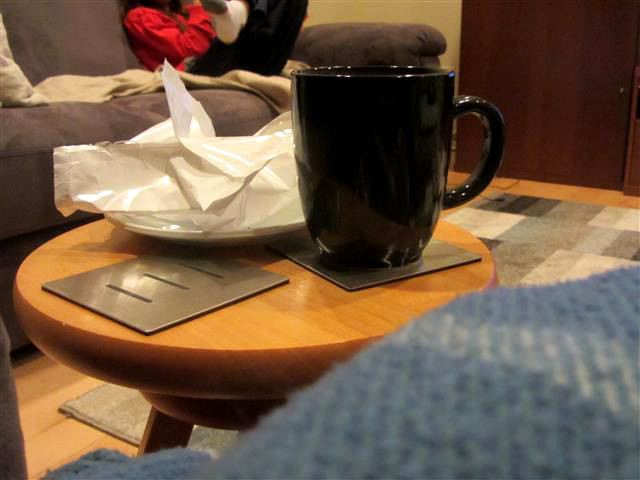 Cozy blanket, evening cup of tea, and yes, TWO ice cream sandwiches, because it's my birthday, dammit. A sweet end to a lovely, ordinary day.